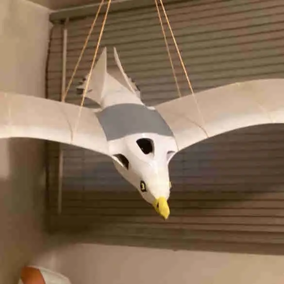 3D printed seagull  ( Bind and Fly) , by Plane Print