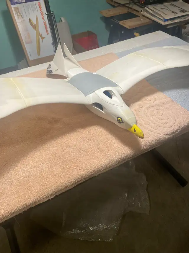 3D printed seagull  ( Bind and Fly) , by Plane Print - Photo 2