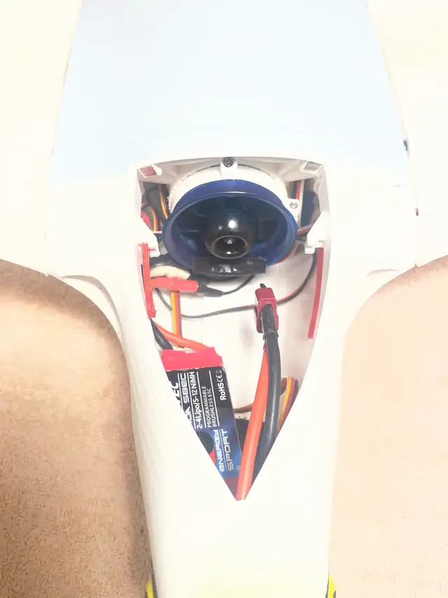 3D printed seagull  ( Bind and Fly) , by Plane Print - Photo 3