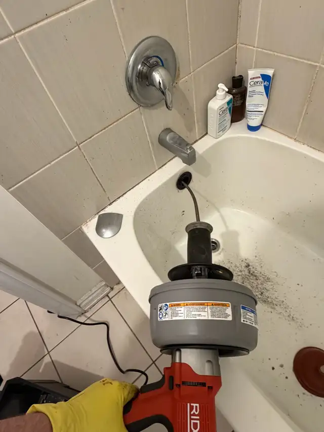 Snake kitchen, bathtub & shower drains