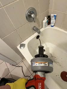 Snake kitchen, bathtub & shower drains