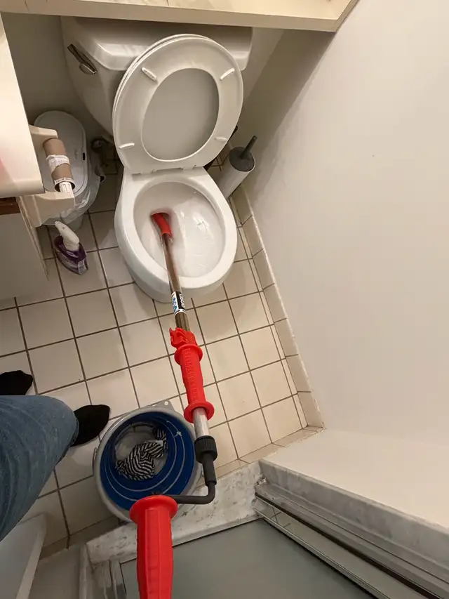 Toilet snake