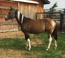 Crimson Hasta Whix   &   Isle B Skip Zan Parr