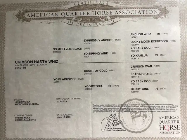 Crimson Hasta Whix   &   Isle B Skip Zan Parr - Photo 6