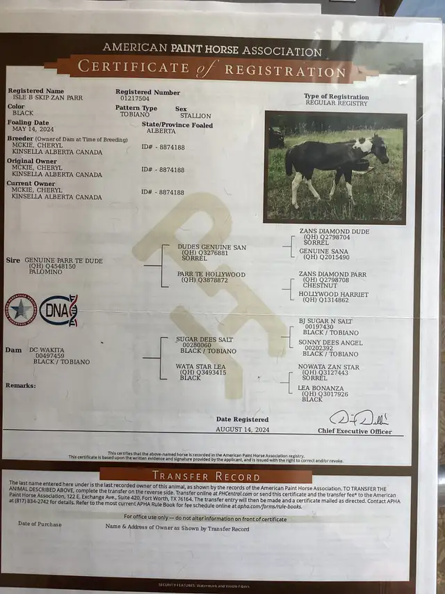 Crimson Hasta Whix   &   Isle B Skip Zan Parr - Photo 10