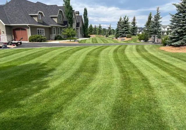 Landscape & Maintenance Laborers WANTED - Photo 3