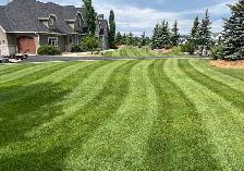 Landscape & Maintenance Laborers WANTED - Photo 3