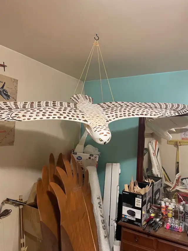 3D printed Snowy Owl by Plane Print.