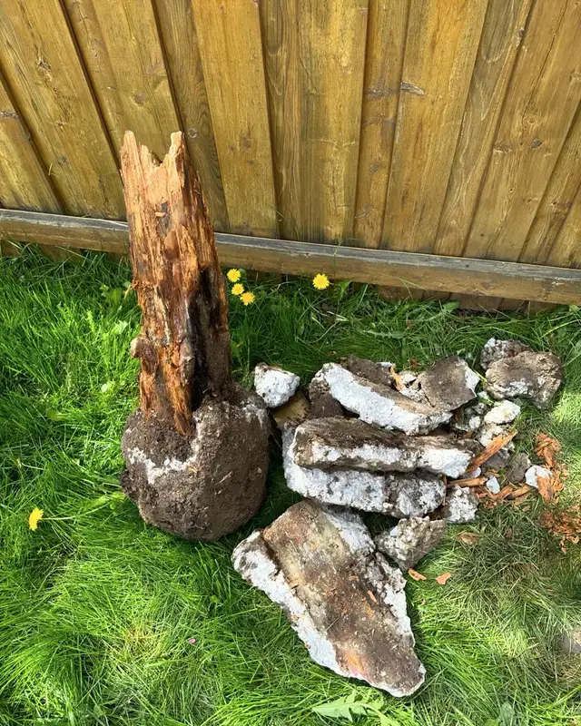 Fence posts & more - Photo 4