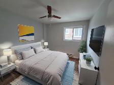 Renovated 1 Bed 1 Bath Apartment - Photo 3