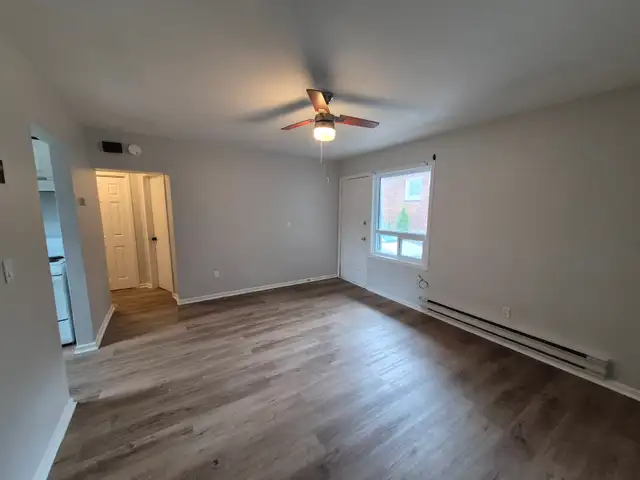 Renovated 1 Bed 1 Bath Apartment - Photo 5