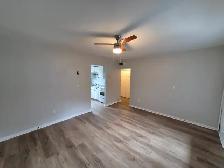 Renovated 1 Bed 1 Bath Apartment - Photo 6