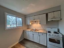 Renovated 1 Bed 1 Bath Apartment - Photo 7