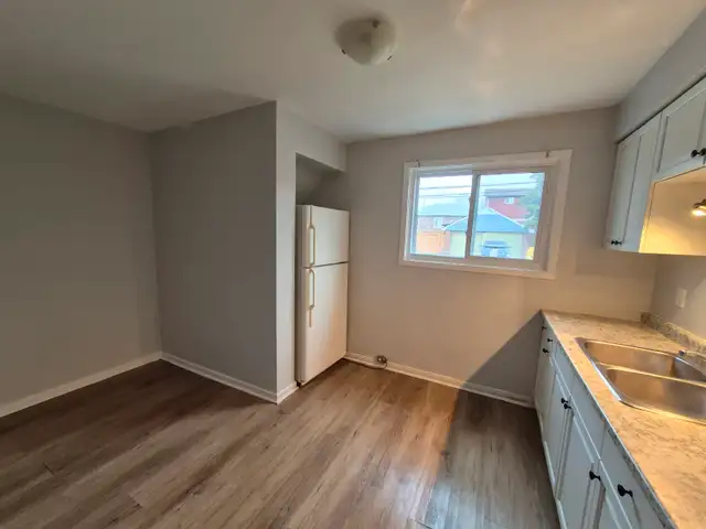 Renovated 1 Bed 1 Bath Apartment - Photo 8