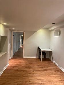 Newmarket Seperate entrance walkout basement for rent - Photo 3