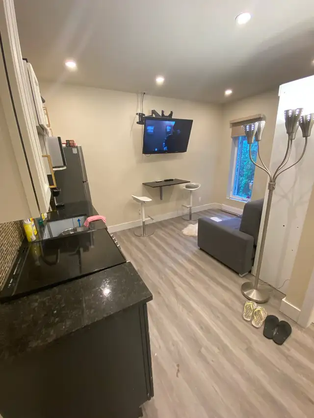 995$/mois-À Louer - Mini-Studio Moderne Completement Meublé. - Photo 6