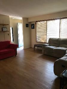 Laurier or WU Off campus housing - Photo 7