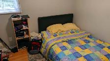 Laurier or WU Off campus housing - Photo 10