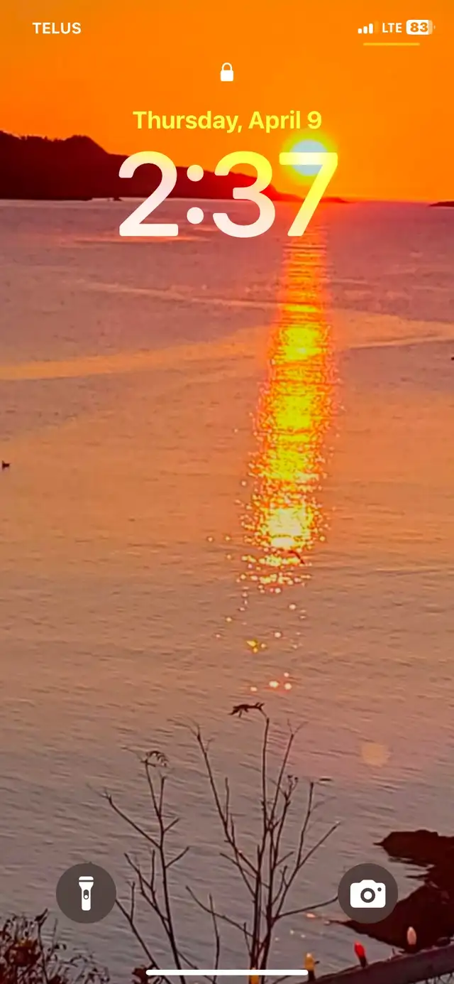 Junk Removal / Deliveries / Moving