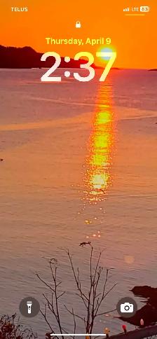 Junk Removal / Deliveries / Moving