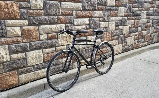 Opus hybrid road bike(tall adults)