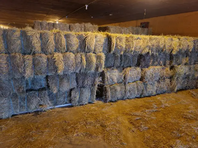 Small square hay bales