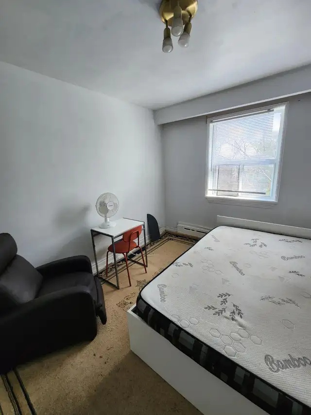 Furnished room all included avail now or May 1, Bathurst-Wilson - Photo 3