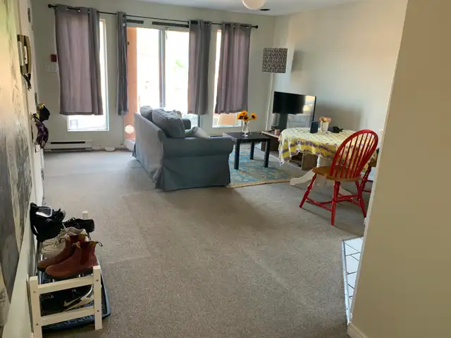 Bright 2 bdrm/Deck near Little Italy June 1st - Photo 5