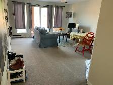 Bright 2 bdrm/Deck near Little Italy June 1st - Photo 5