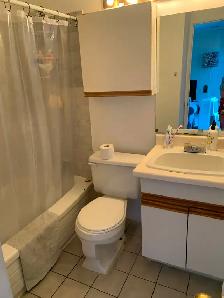 Bright 2 bdrm/Deck near Little Italy June 1st - Photo 6