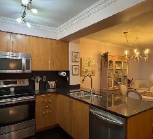 furnished 1 1 Condo with 1 parking space for rent Richmond Hill