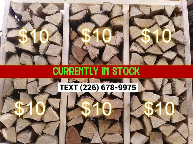DRIED/ SPLIT FIREWOOD - Photo 3