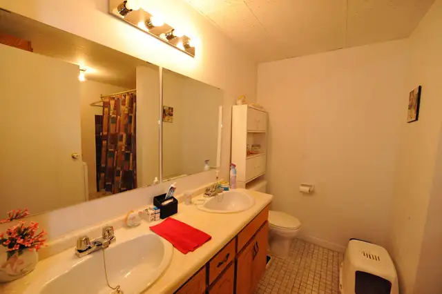 4 1/2 Charlesbourg - Piscine - jardins- libre ou juillet - Photo 15