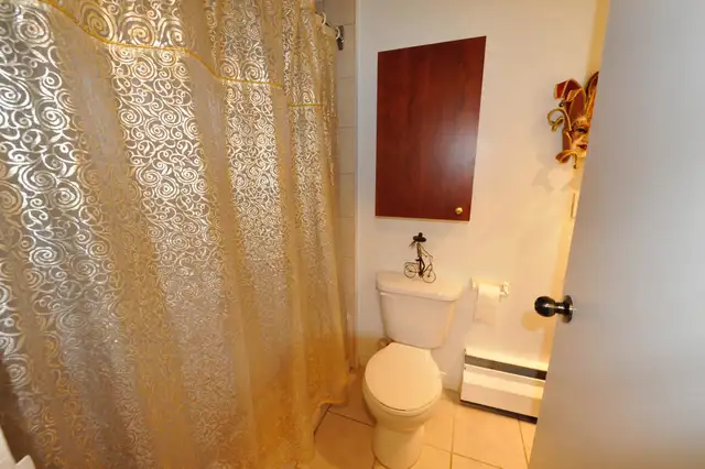 3 1/2 SILLERY PLAZA - PROMENADE CHAMPLAIN- juin - Photo 19