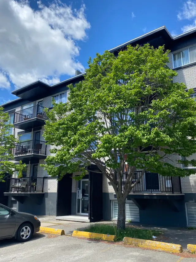 5 1/2 Limoilou Des Peupliers E. -Chauffé et eau ch.- 1er mai - Photo 4