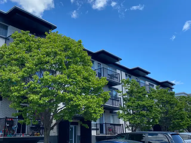 5 1/2 Limoilou Des Peupliers E. -Chauffé et eau ch.- 1er mai - Photo 5