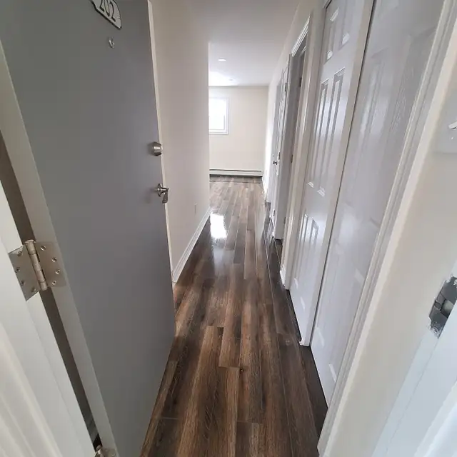 Modern 1BR - Unit 222 - Aug 1st - Heat/Wat/Pkg Included! - Photo 5