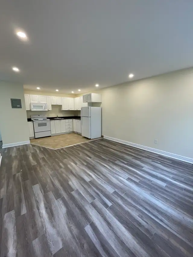 Modern 1BR - Unit 222 - Aug 1st - Heat/Wat/Pkg Included! - Photo 11