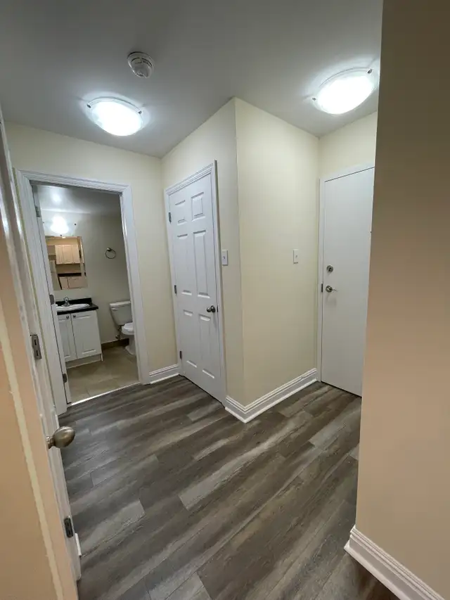 Modern 1BR - Unit 222 - Aug 1st - Heat/Wat/Pkg Included! - Photo 12