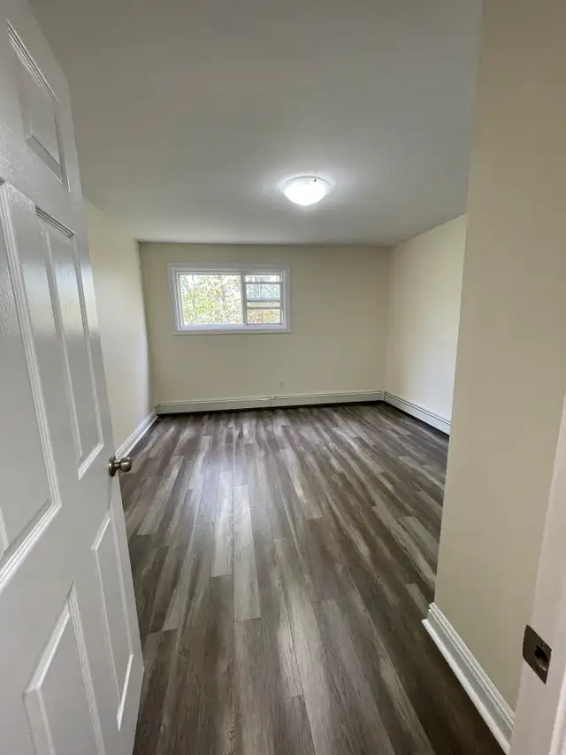 Modern 1BR - Unit 222 - Aug 1st - Heat/Wat/Pkg Included! - Photo 13