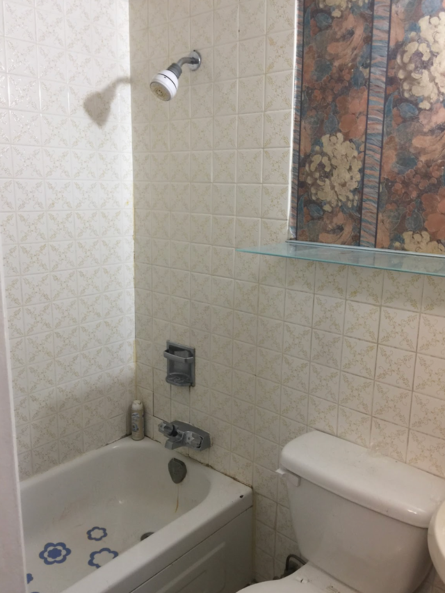 Bachelor Available on 3rd Floor - Lakeshore & Islington - Photo 3