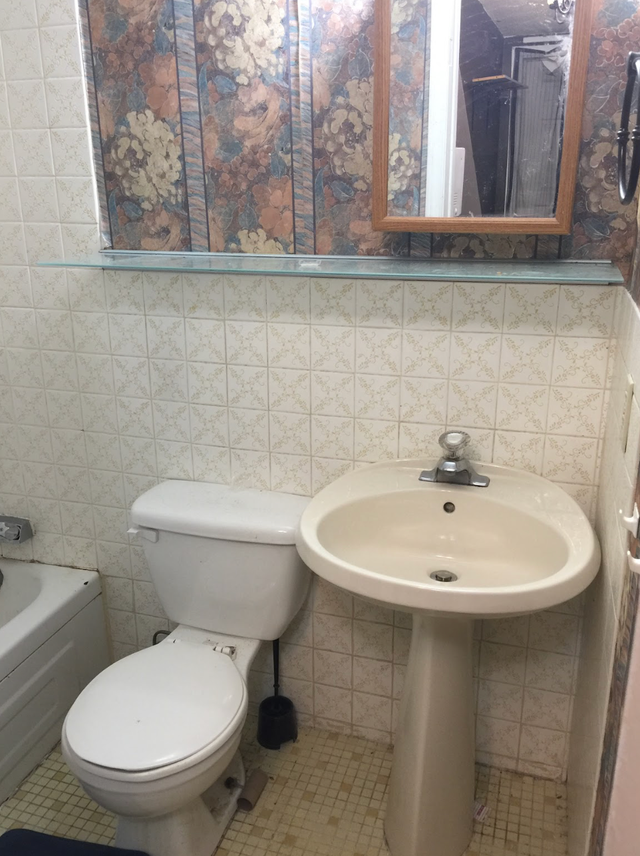 Bachelor Available on 3rd Floor - Lakeshore & Islington - Photo 4