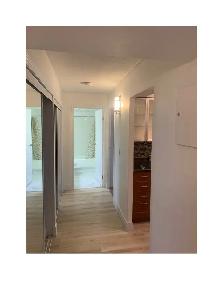 1 BEDROOM CONDO FOR RENT $1,700 - Photo 3
