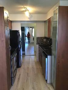 1 BEDROOM CONDO FOR RENT $1,700 - Photo 4