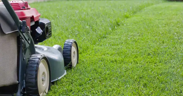 Landscaper Needed!