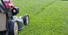 Landscaper Needed!
