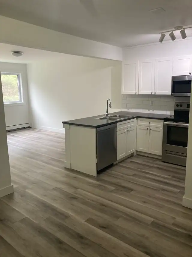 Fully Renovated Unit Available June 1! - Photo 3