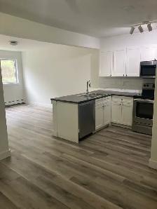 Fully Renovated Unit Available June 1! - Photo 3