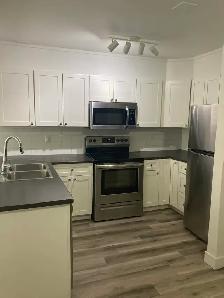 Fully Renovated Unit Available June 1! - Photo 4