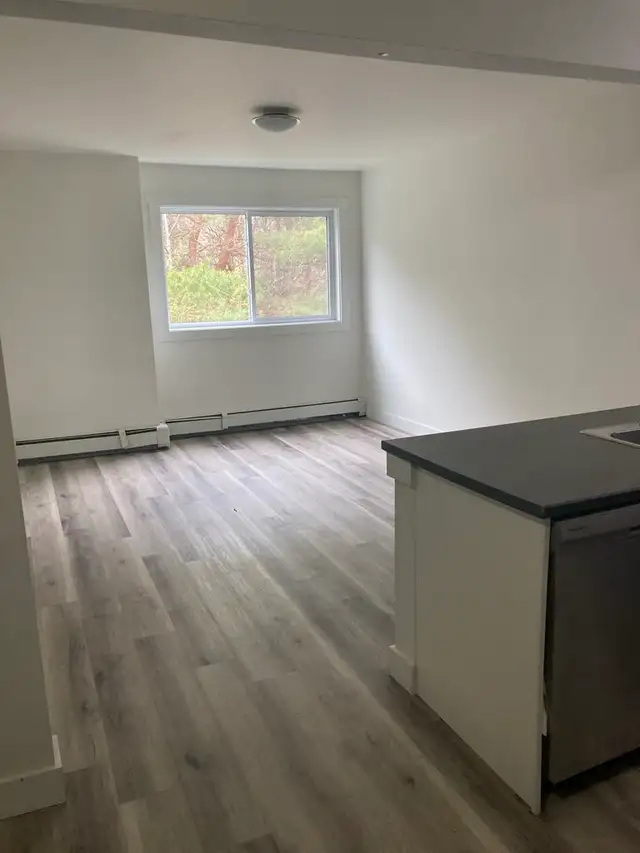 Fully Renovated Unit Available June 1! - Photo 5